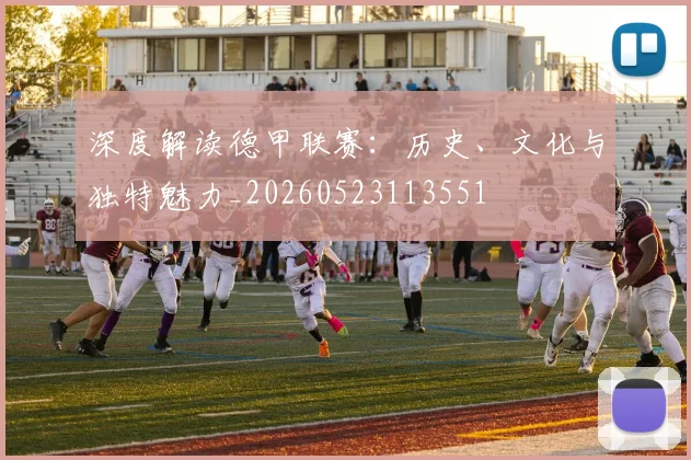 深度解读德甲联赛:历史、文化与独特魅力_20260523113551